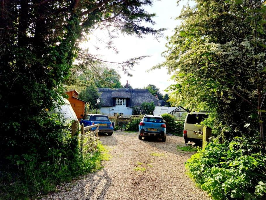 Piddle Puddle Cabin Дорчестер Екстер'єр фото